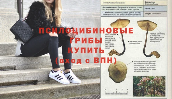 apvp Алексеевка