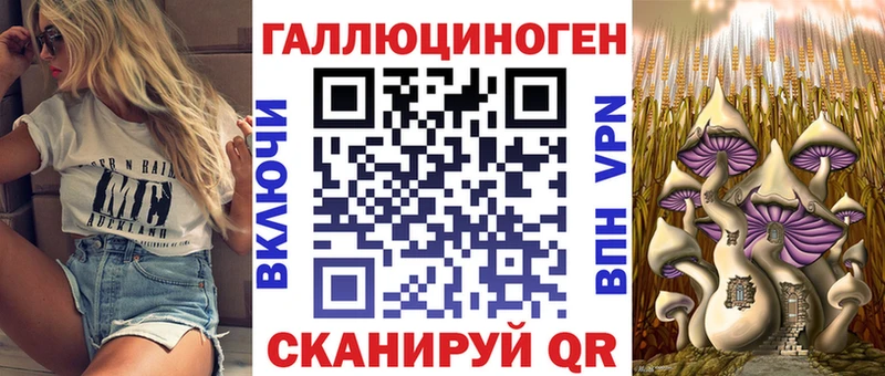 Галлюциногенные грибы Psilocybe Тверь